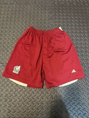 adidas Burgundy Athletic Shorts with White Accents